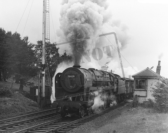 70029 1962-08-02  Scout Green