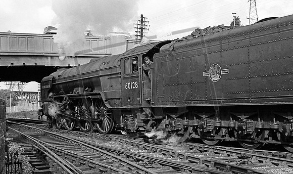 60128 1964-09-19 Peterborough East