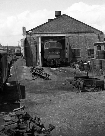 D141 1969-06-18 Gloucester shed