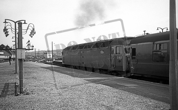 D1837 1969-06-28 Newton Abbot