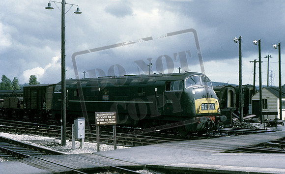 D814 1967-07-24 Newton Abbot