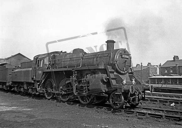 77001 1950s Hull Botanic Gardens