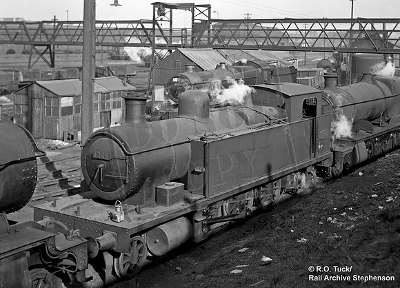 1205 1955-03-12 Cardiff Canton