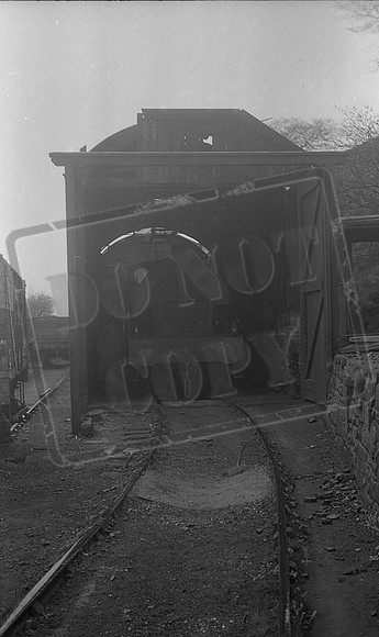 47000 1955-05-01 Sheep Pasture shed-ROneg-27-046