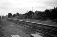 Station 1958 Blenheim-ROneg-2003-041