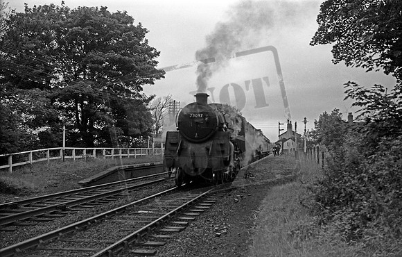 73097 1964 Trench Crossing