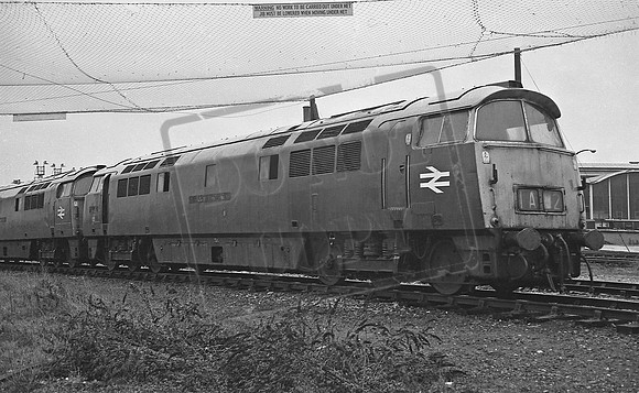 D1049 1976 Laira