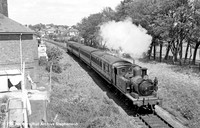 W14 1966 where