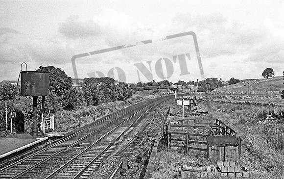 Shap 1966