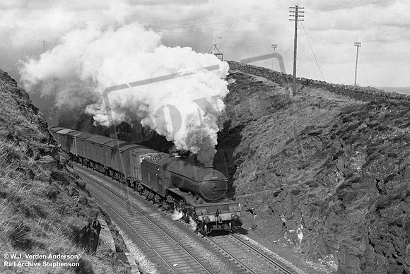 60819 1950s Nigg Bay