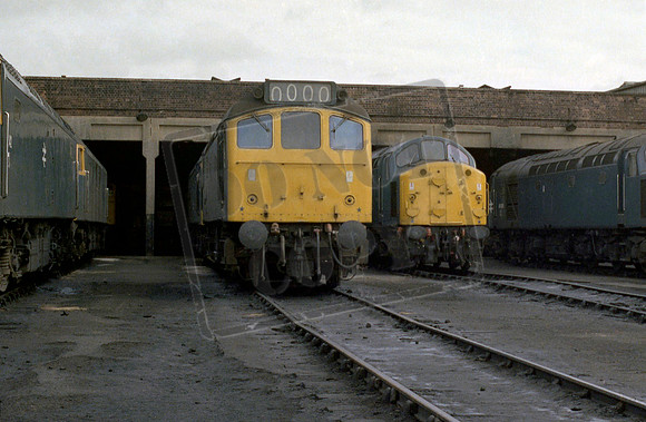 25xxx 1979 Springs Branch