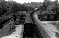 Alton Towers 1950s