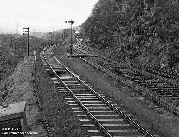 Ynisygeinon 1965-04-24