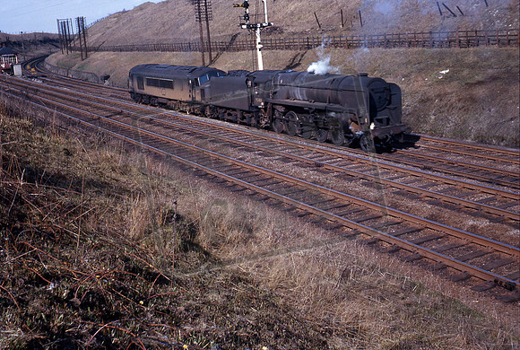 92100 1964 Glendon