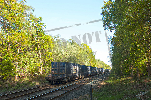 68007 2025-04-29 Sutton Park