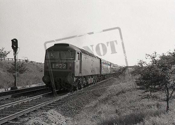 D1577 1964 Nr Darlington
