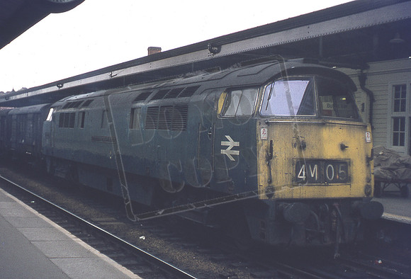 D1001  c1975 Newton Abbot