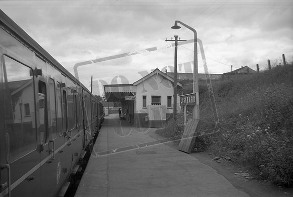 DMU 1960s Liskeard in Looe platform-ROneg-1502-256