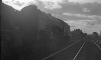 60517 1962-08-22 Tweedmouth-ROneg319-4