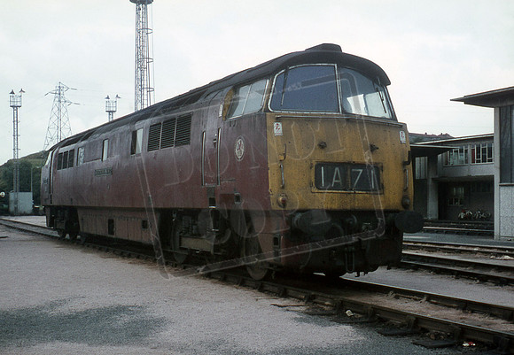 D1039 1970 Laira