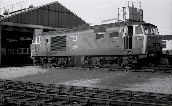 D7011 1972-04-09 Reading