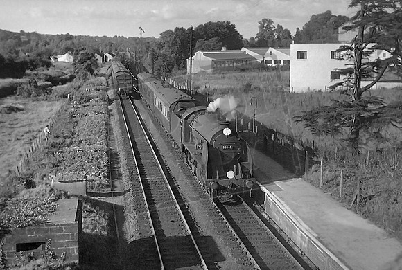 30843 1950s Axminster