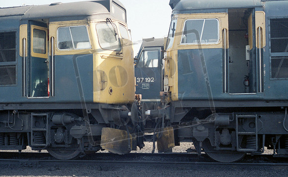 270xx 1984 Haymarket