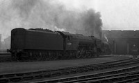 60519 1962-08-19 Haymarket-ROneg290-1