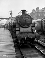 77014 1950s Scarborough