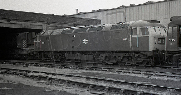 1982 1972c Springs Branch