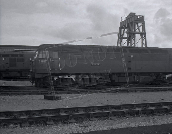 D1667 1966c  Canton