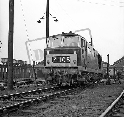 D7027 1964c Swindon Shed