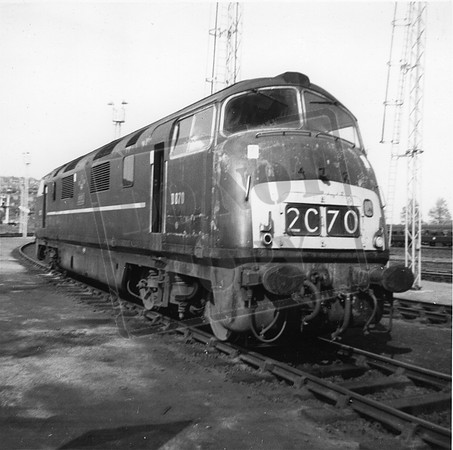 D870 1963c