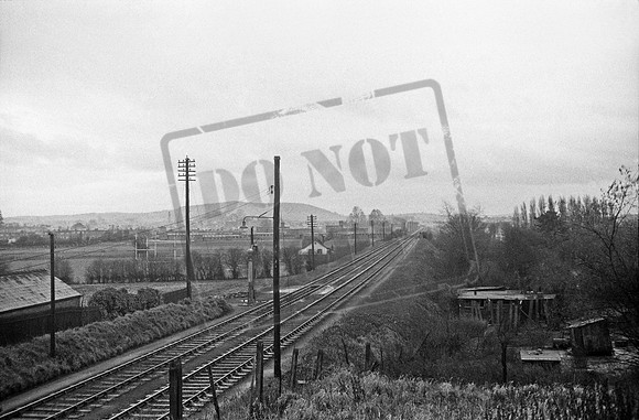 Hereford  1958-01-05
