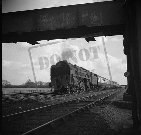 700x4 1950s-ROneg-092