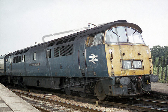 D1016 1975 Par