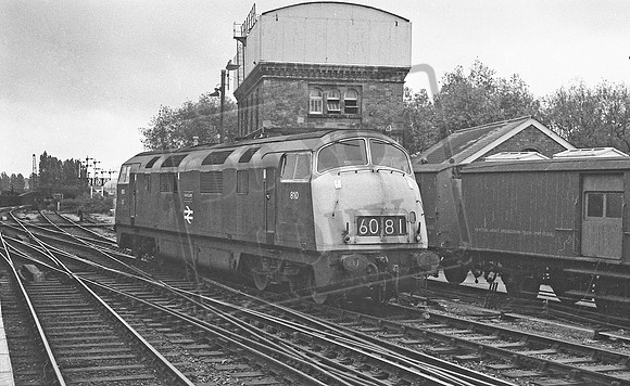 D810 1969 Exeter St Davids