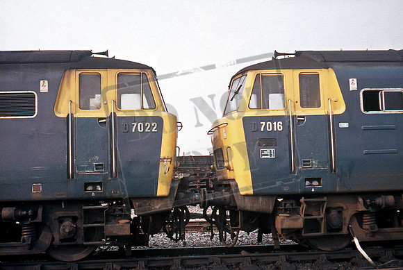 D7016 1972c where