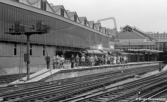 34100 1961-06-11 Victoria