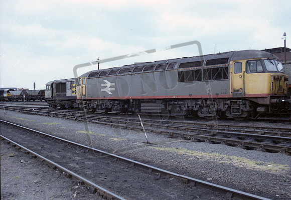 56019 1987c