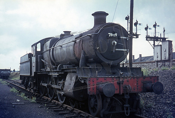 7825 1960s Reading