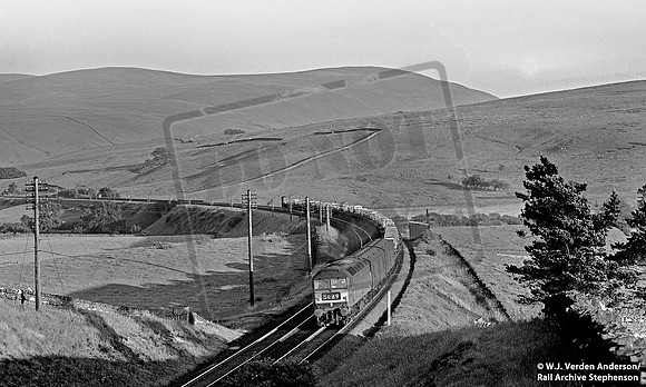 D1xxx 1967 Shap