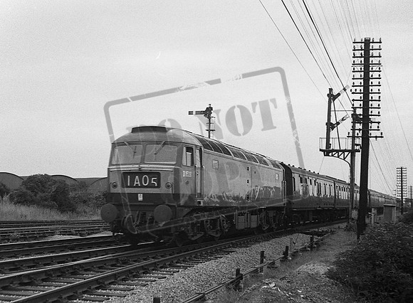 D1528 1963c
