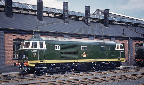 D7003 1961 Swindon