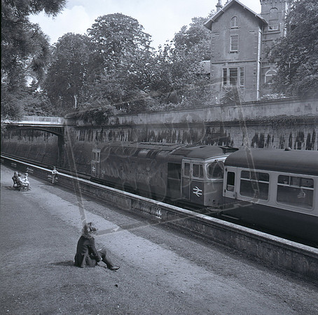 33011 1980-08-09 Bath Sydney Gardens