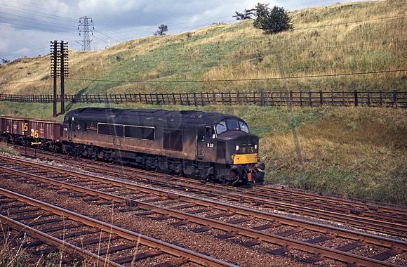D50 1967 Glendon
