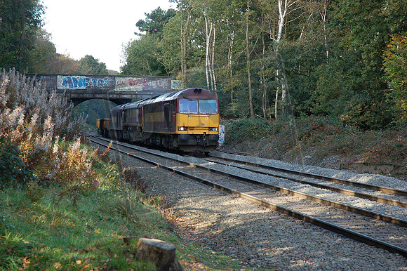 60017 66111 60031 2008-10-22 Sutton Park (3)