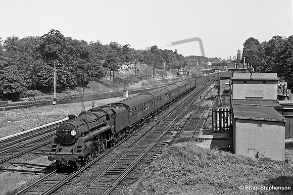 73087 1964-07-25 Weybridge
