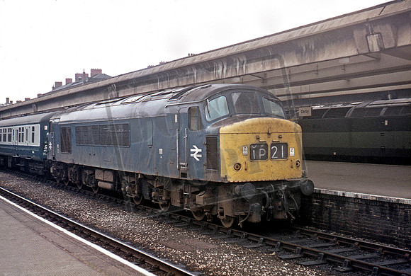 111 1973 Derby