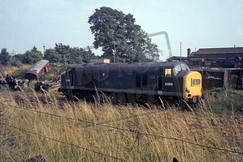 Rail-Online | Class 23 